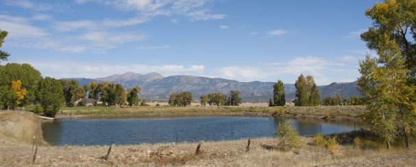 Pond of water surrounded by dry grass with Rocky Mountains in background..