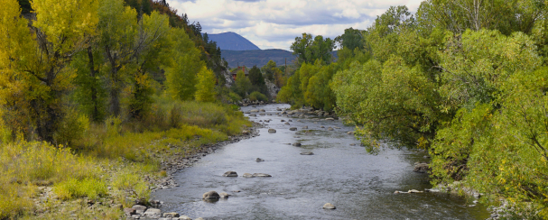 Stream of water between green leaf lined trees.
