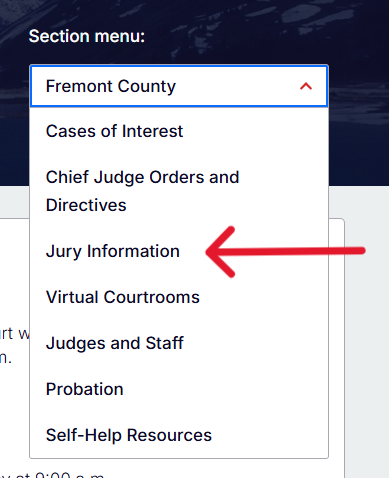 Screen shot of Jury Information highlighted in Section Menu list