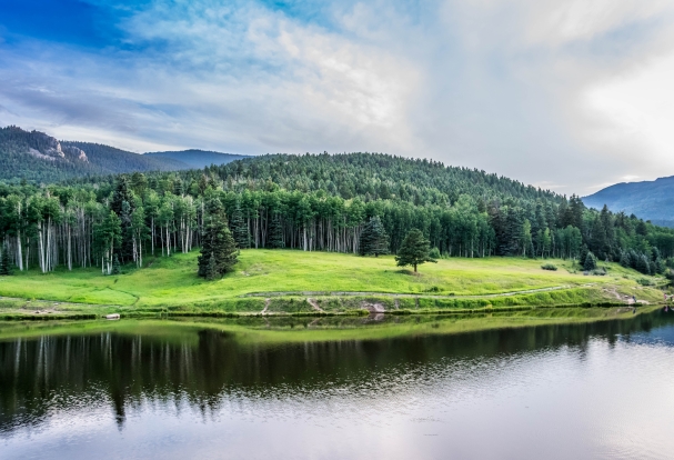 Stand of trees by body of water for Colorado banner image