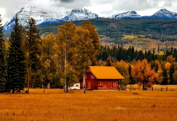 Trees and cabin with mountains in background for Colorado banner image