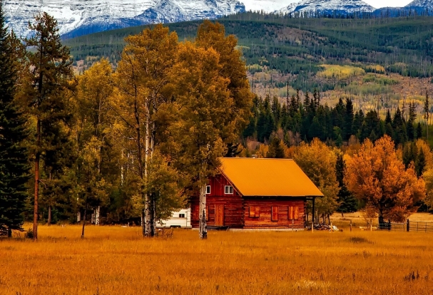 Trees and cabin with mountains in background for Colorado banner image
