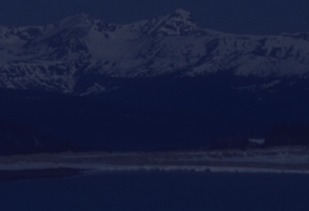 Screen shot of the banner of the website showing the dropdown menu for Section Menu