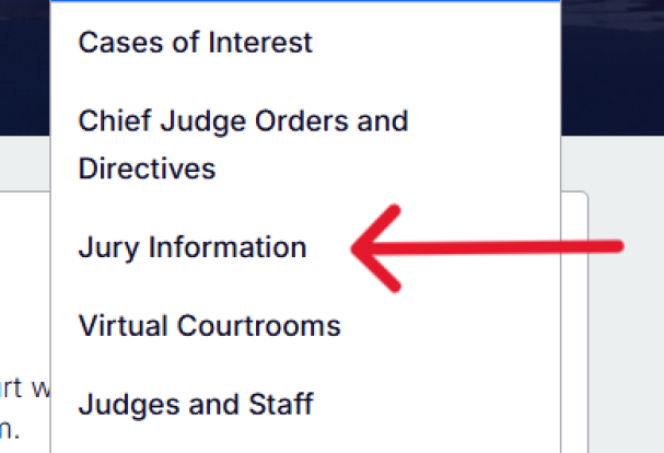 Screen shot of Jury Information highlighted in Section Menu list