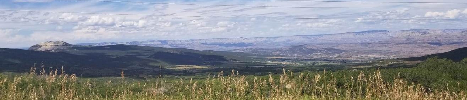 Mesa County Probation Colorado Judicial Branch Mesa County Probation Colorado Judicial Branch